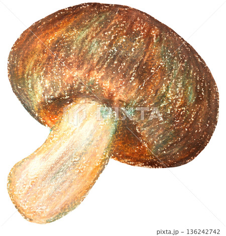 椎茸のイラスト オイルパステル画 136242742