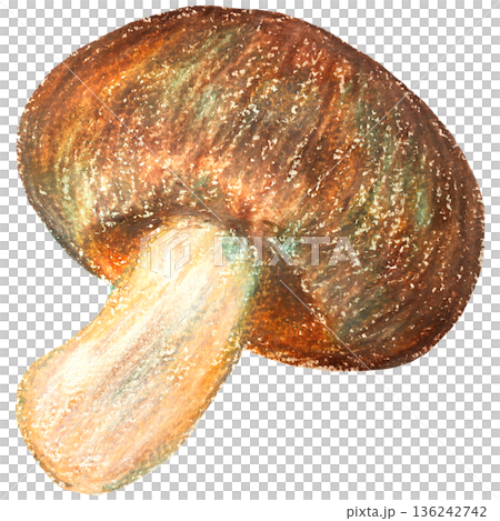 椎茸のイラスト オイルパステル画 136242742