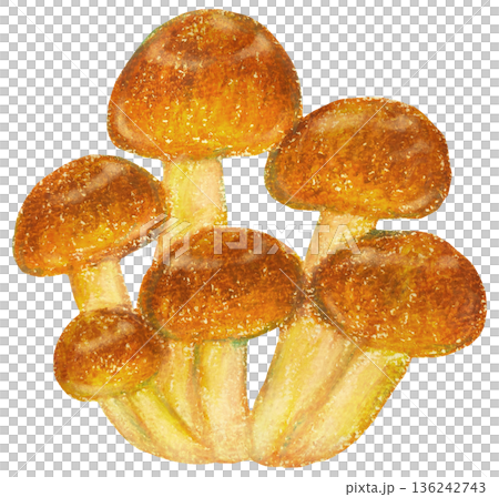 滑子島插畫油畫棒畫 136242743