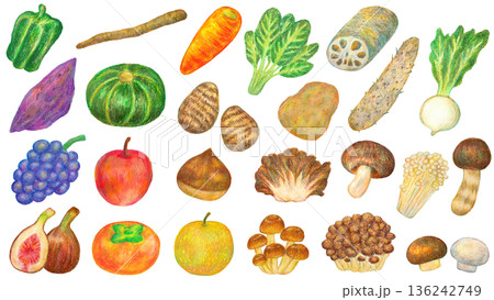 秋の食べ物のイラストセット オイルパステル画 秋の食べ物のイラストセット オイルパステル画 136242749