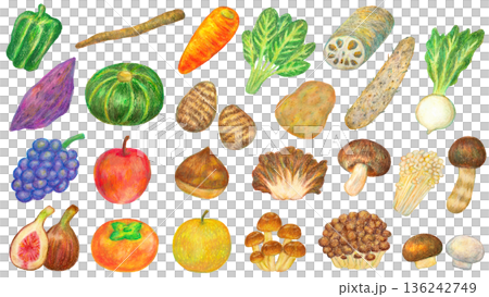 秋の食べ物のイラストセット オイルパステル画 秋の食べ物のイラストセット オイルパステル画 136242749