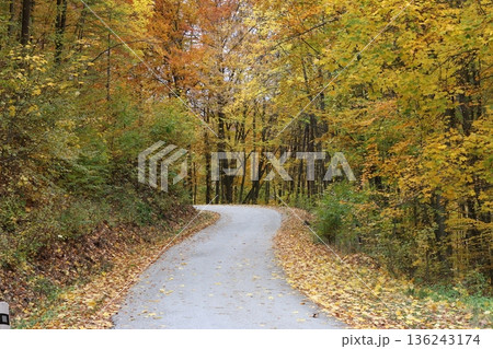 A curved road through an autumn forest with trees on both sides and leaves on the ground 136243174