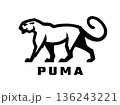 Wild cat. Puma logo. 136243221