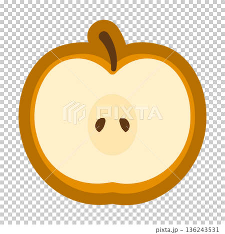 Cute pear cross section illustration 136243531