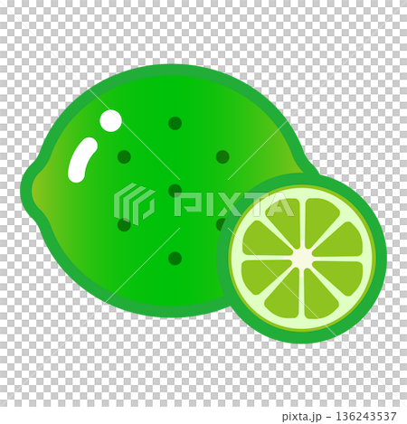 Cute plump lime illustration Cute plump lime illustration 136243537