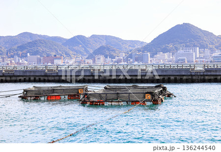 Fish farming cages floating in the blue sea near the Breakwater, Aquaculture in at Shimonoseki, Japan. Fish farming cages floating in the blue sea near the Breakwater, Aquaculture in at Shimonoseki, Japan. 136244540