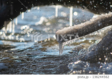 Icicles under a log 136244562