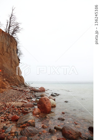 autumn cliff in Orlowo, Gdynia Poland 136245386
