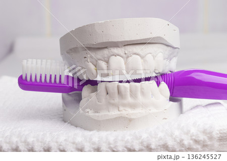 Violet toothbrush with dental gypsum Violet toothbrush with dental gypsum 136245527