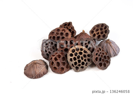 Dried lotus seed pods isolated on a white background, natural botanical decor. Dried lotus seed pods isolated on a white background, natural botanical decor. 136246058