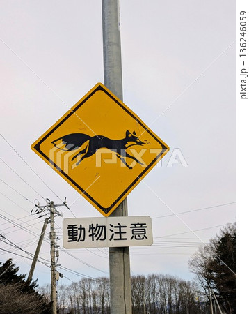 動物注意 136246059