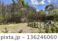 森と青空に囲まれたアウトドアキャンプ場の風景 136246060