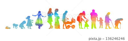The colored life cycle of a woman. Not AI, vector illustration. 136246246