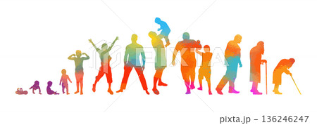 The colored life cycle of a man. Not AI, vector illustration. The colored life cycle of a man. Not AI, vector illustration. 136246247