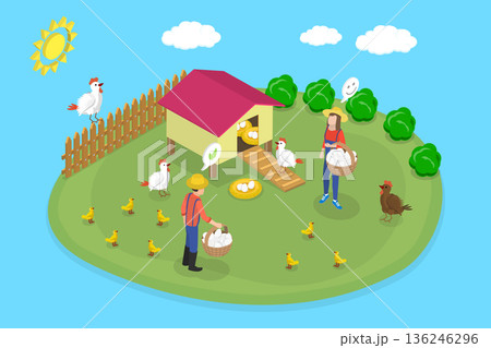 3D Isometric Flat Vector Illustration of Poultry Farming, Chicken Eggs, Green Field Farm With Farmers And Cage 136246296