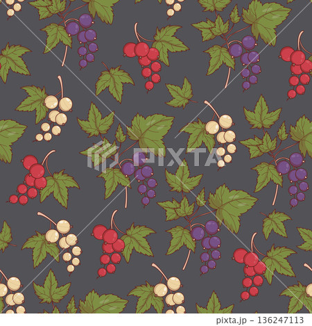 Mixed Currant Berries Branches Seamless Pattern on Dark Background. Botanical template with Black, Red and White Garden Fruit. Square Ornament. Vector illustration 136247113