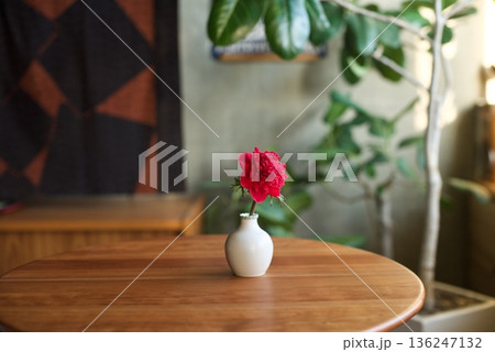 一輪挿しに生けた赤いアネモネの花 136247132