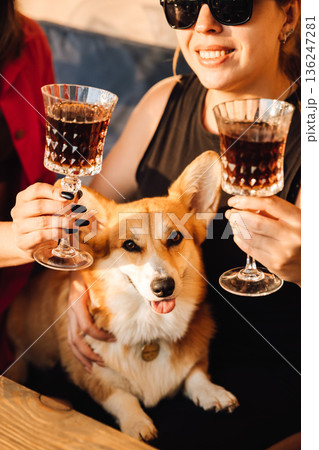 Close up toast with crystal glasses and corgi on sunny outdoor terrace Close up toast with crystal glasses and corgi on sunny outdoor terrace 136247281