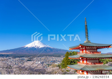 【春素材】新倉山浅間公園から見る富士山と桜と忠霊塔【山梨県】 136248554