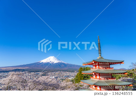 【春素材】新倉山浅間公園から見る富士山と桜と忠霊塔【山梨県】 136248555