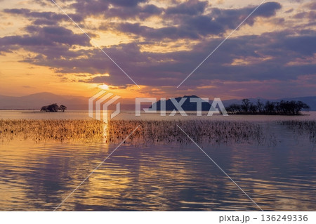 日本の冬の湖畔、琵琶湖の夕陽。枯れた蓮と島々が織りなす幻想的な景色 136249336