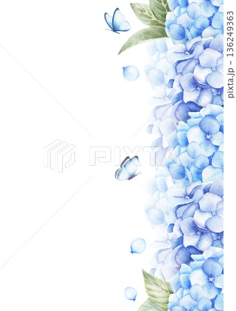 Greeting card template with hydrangea flowers, leaves and butterflies. Watercolor hand drawn illustration isolated on white background 136249363