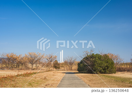 淀川右岸河川敷風景　大阪府高槻市 136250648