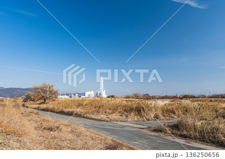 淀川右岸河川敷風景　大阪府高槻市 136250656