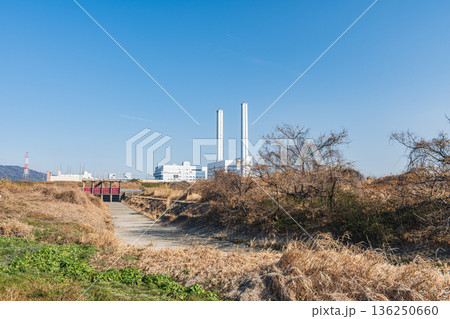 淀川右岸河川敷風景　大阪府高槻市 136250660