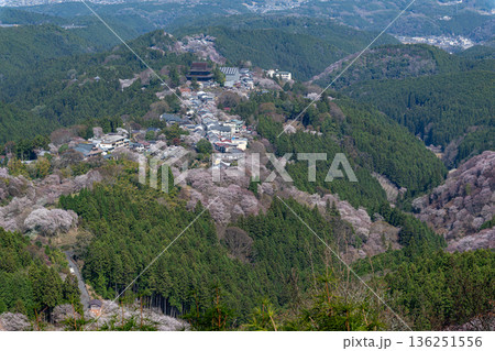 世界遺産・奈良吉野山の桜と金峯山寺を望む絶景 136251556