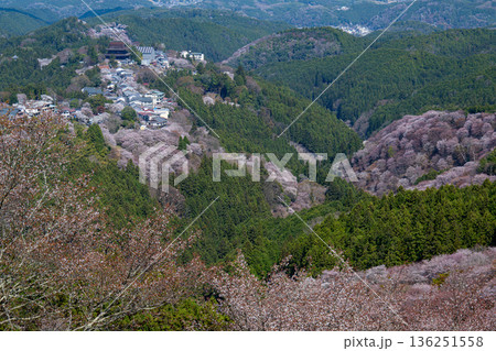 桜に彩られた吉野の山並みと金峯山寺の遠景 136251558
