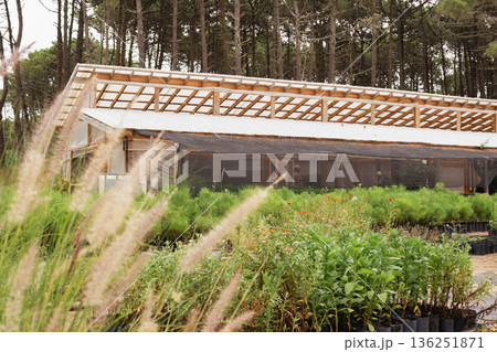 Horizontal shot of modern greenhouse promoting green planet initiatives through sustainable agriculture 136251871
