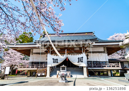山梨 桜満開の妙了寺 山梨 桜満開の妙了寺 136251898