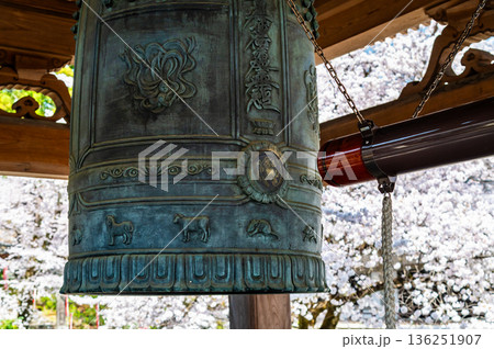山梨 桜満開の妙了寺　 136251907
