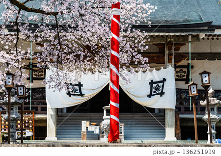 山梨 桜満開の妙了寺　 136251919