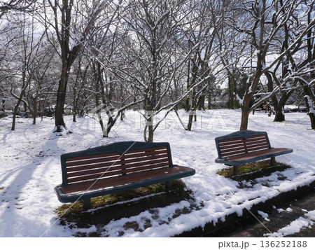 雪の積もった公園のベンチ 136252188