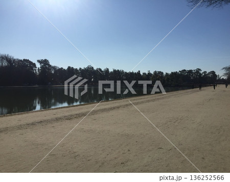 朝の静かな湖 朝の静かな湖 136252566