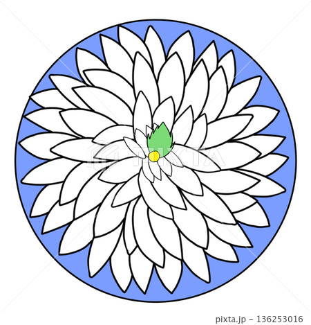 ふぐ刺し ふぐ刺し 136253016