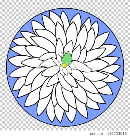 ふぐ刺し ふぐ刺し 136253016