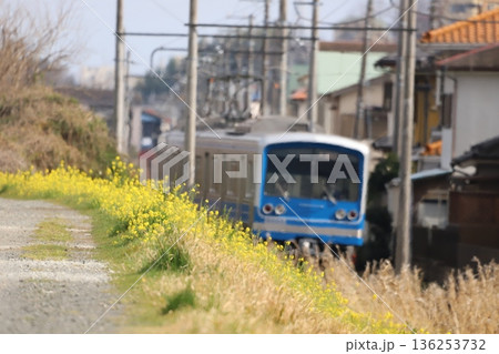 大雄山線 飯田岡駅付近 大雄山線 飯田岡駅付近 136253732