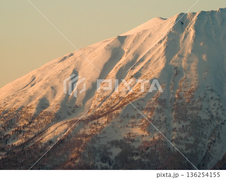 夕焼けに染まる雪の羊蹄山 136254155
