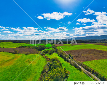 空中散歩 136254264