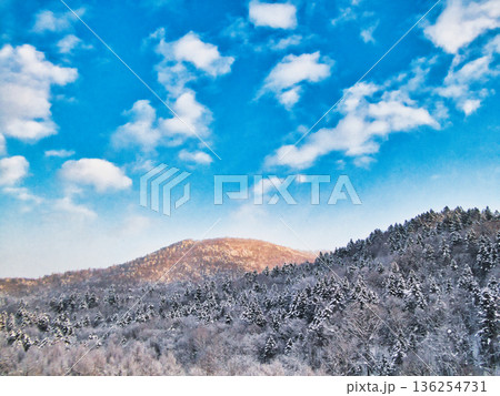 冬の朝 136254731