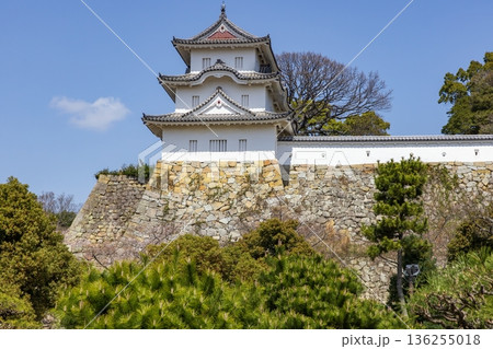 春の明石公園・明石城跡　兵庫県明石市にて 136255018