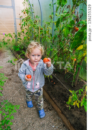 Little Girl Standing in Greenhouse 136255329
