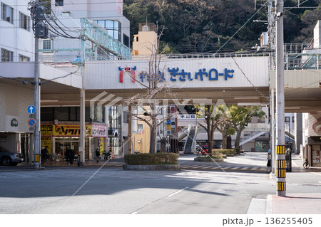 きさいやロード｜南予文化会館前通り｜牛鬼ストリート｜1月撮影｜愛媛県宇和島市 136255405
