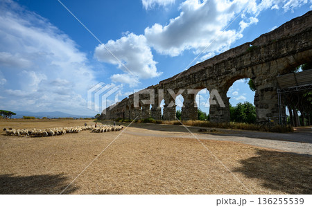 Rural scene showing sheep in foreground and stone arches of a Roman aqueduct in Parco degli Acquedotti, Rome. Rural scene showing sheep in foreground and stone arches of a Roman aqueduct in Parco degli Acquedotti, Rome. 136255539