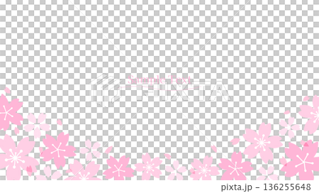 Simple cherry blossom frame 136255648