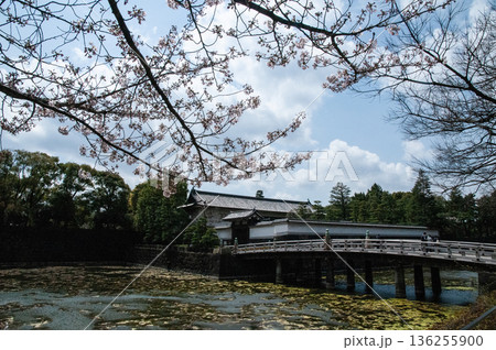 平川門とさくら 136255900