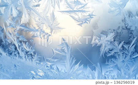 Frozen frost patterns and icy blue textures coat the natural crystal branches of a winter tree in a cold macro snow landscape Frozen frost patterns and icy blue textures coat the natural crystal branches of a winter tree in a cold macro snow landscape 136256019